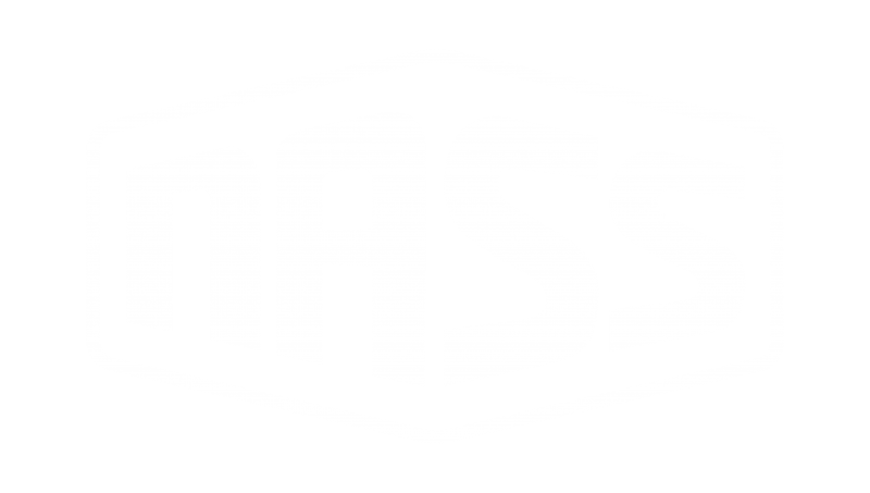 NASS Festival 2017